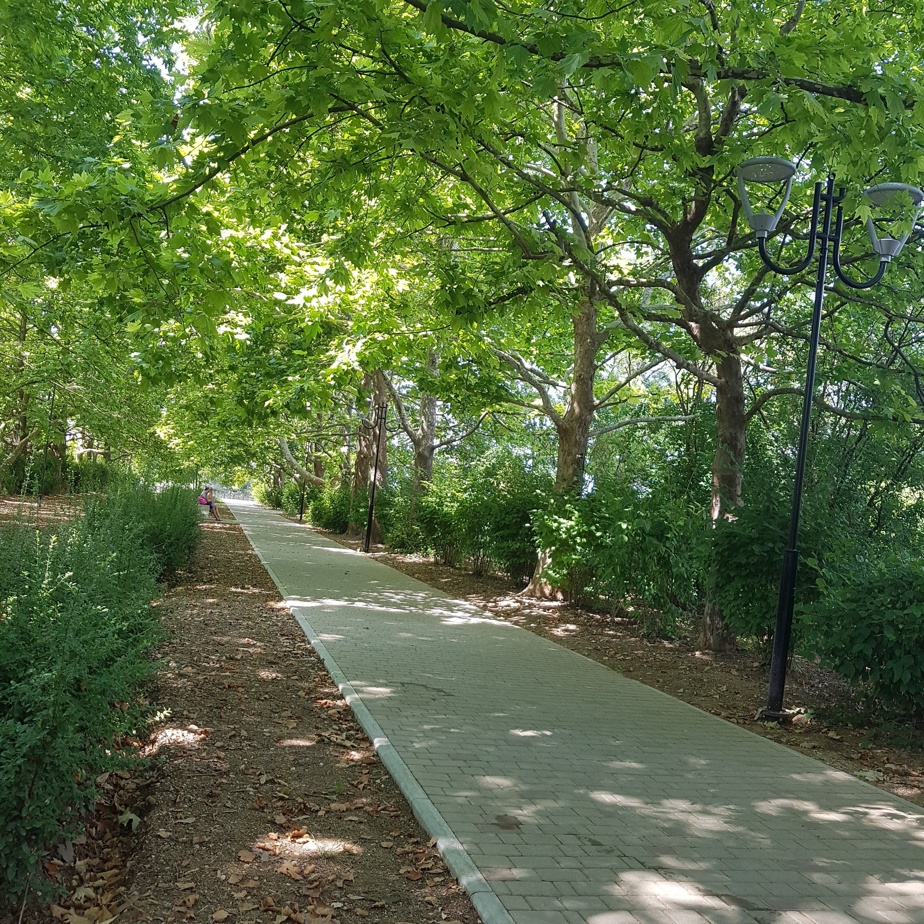 Горный пейзаж окрестностей