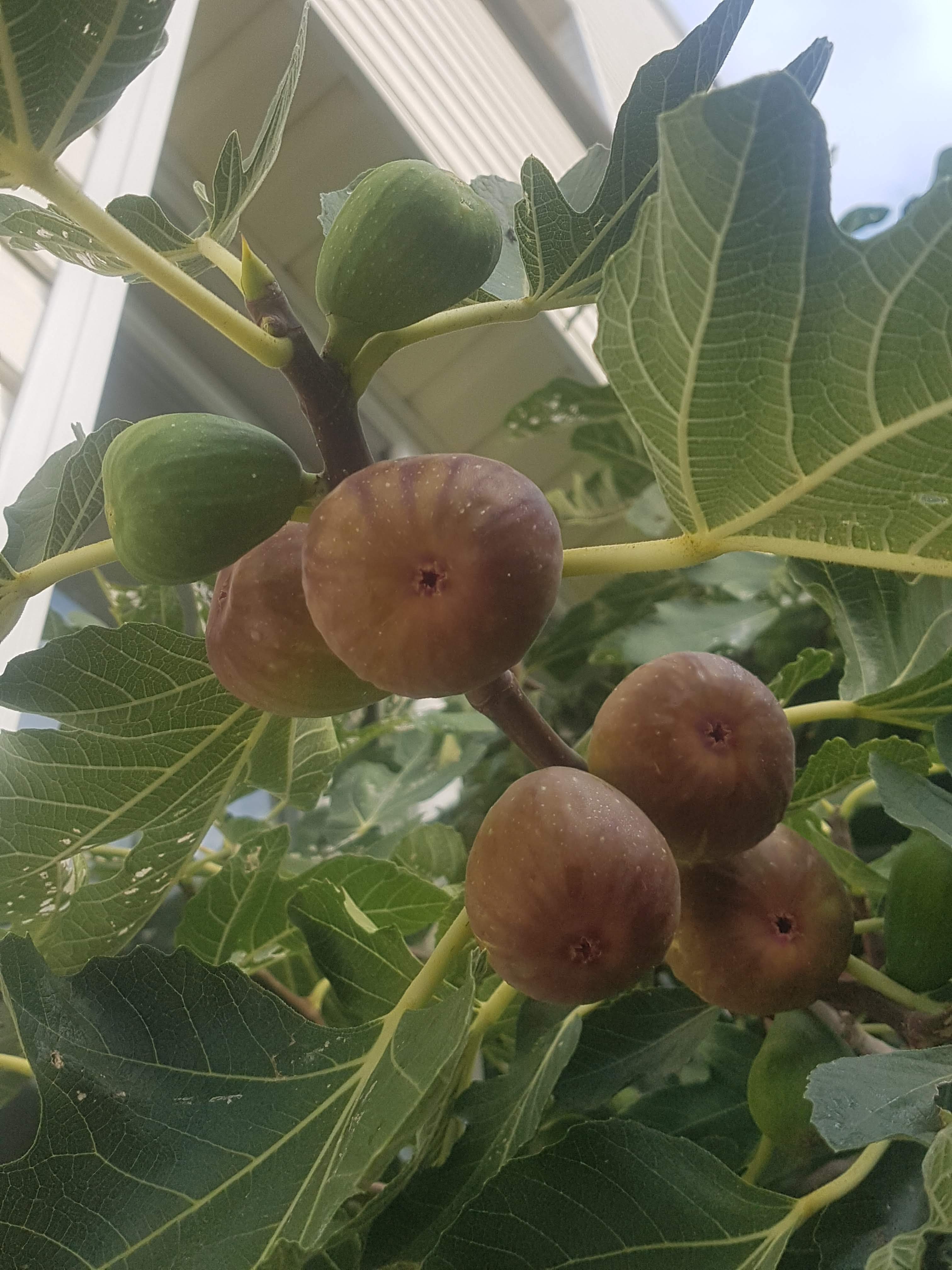 Утренний вид на побережье