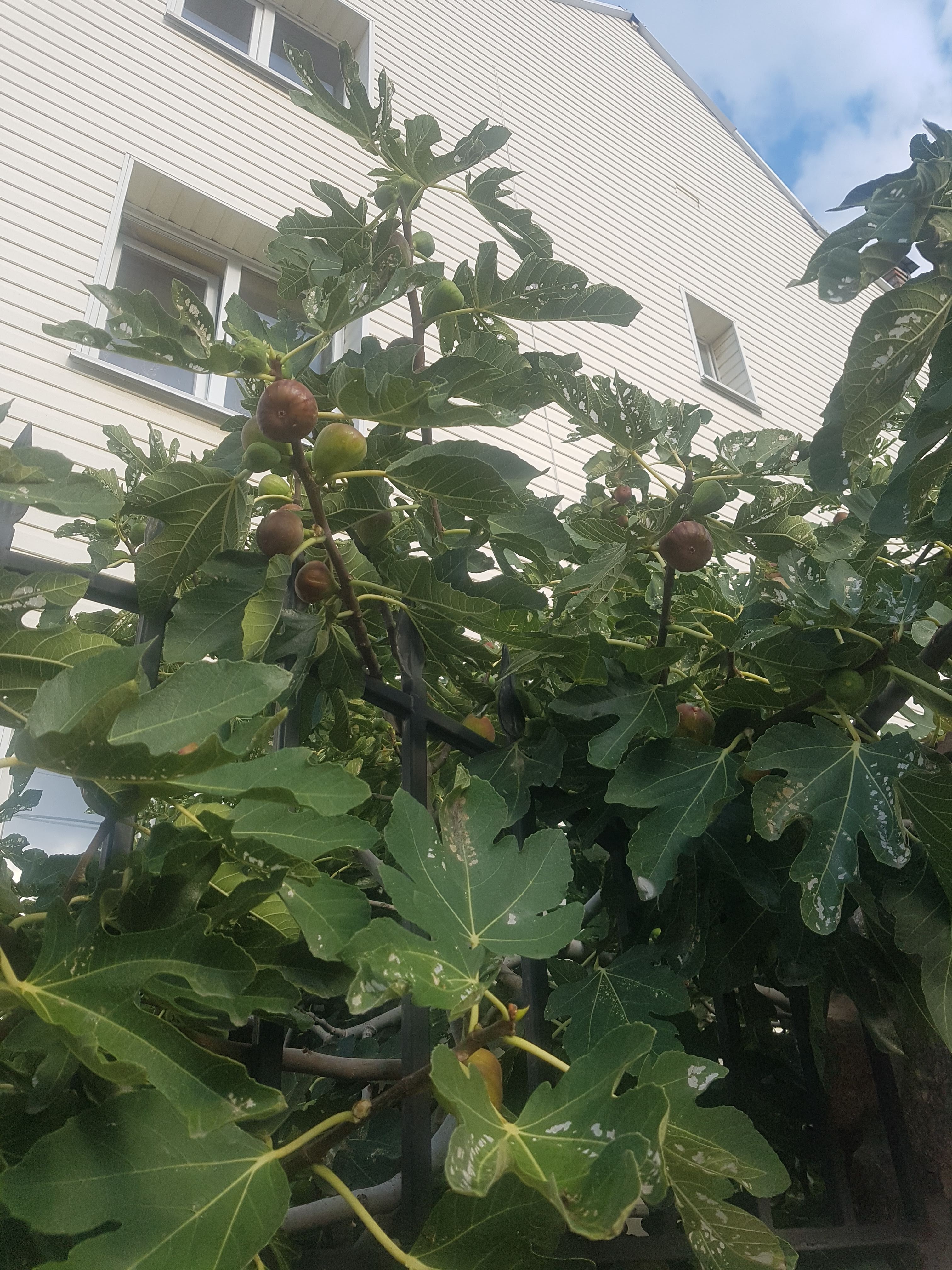 Прибрежные скалы Андреевки